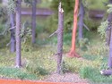 Pohled do modelovho lesa